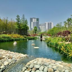 釜山市民公園