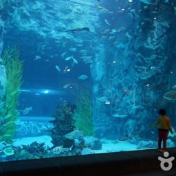 乐天世界水族馆