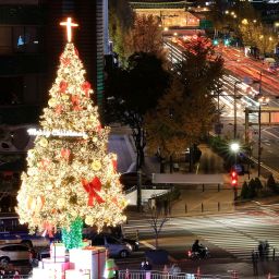 Seoul Plaza Christmas Tree Thumbnail