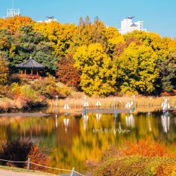 オリンピック公園