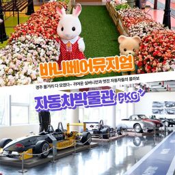 [경주] 바니베어뮤지엄+자동차박물관 볼거리 패키지 입장권