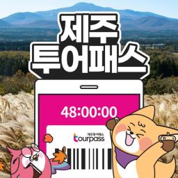[제주] 제주투어패스 타임형 자유 이용권