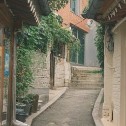 首尔代表咖啡街