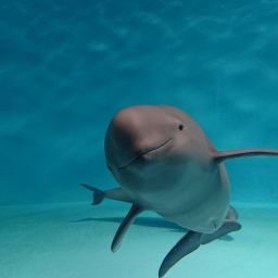 미야지마 수족관