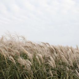 三楽生態公園