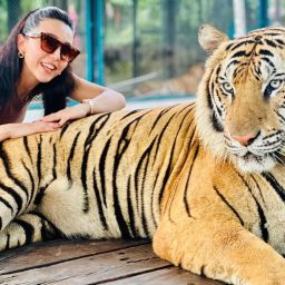 🔥 [푸켓] 반나절 시티투어 + 코끼리 관람, 타이거 파크 