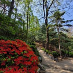 Hakdong Park Thumbnail
