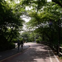 남산 산책로