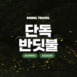 [보홀트래블] 보홀 반딧불 투어 단독 픽드랍 나이트