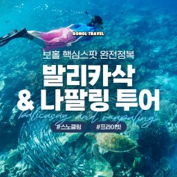 [보홀트래블] 보홀 발리카삭 + 나팔링 투어 단독 스노쿨링 수중촬영 전담가이드