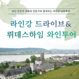 💓5/3일 즉시 확정💓 라인강 드라이브 & 뤼데스하임 와인투어 