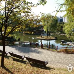 汝矣島(ヨイド)公園