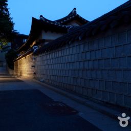 가을 단풍길