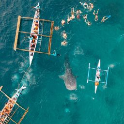 (줄서지않고 편안한 오슬롭투어)세부 오슬롭투어+풀캐녀닝 [우리끼리만단독투어] [캐녀닝한국인상주]