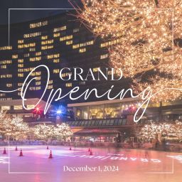 Grand Hyatt Seoul Ice Rink Thumbnail