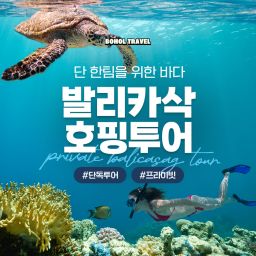 [보홀트래블] 단독 보홀 발리카삭 투어 스노클링 프라이빗