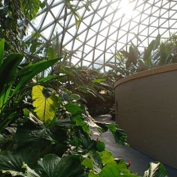 마운트 쿠사 보타닉 가든