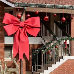 2025 龙山家族公园圣诞村 Thumbnail