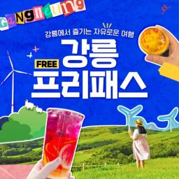 [강릉] 강릉프리패스 자유이용권