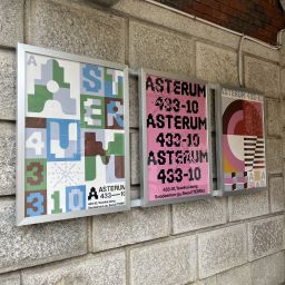 ASTERUM 433-10 Thumbnail