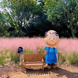済州スヌーピーガーデン椿祭り