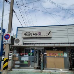 텃밭에 노는 닭