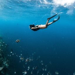 [인도네시아/발리] 블루라군 & 빠당바이 비치 스노클링 일일 투어 (단독)
