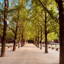 Gapyeong, Peaceful Get-Away Spot
