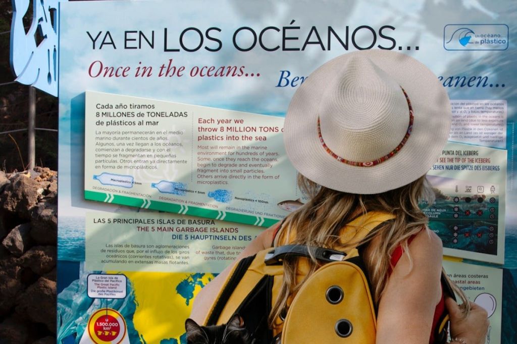 공원에서 열리는 전시회