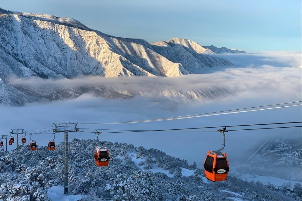 산맥과 구름을 배경으로 눈 덮인 나무 너머로 펼쳐진 오렌지색 곤돌라가 눈길을 사로잡습니다.