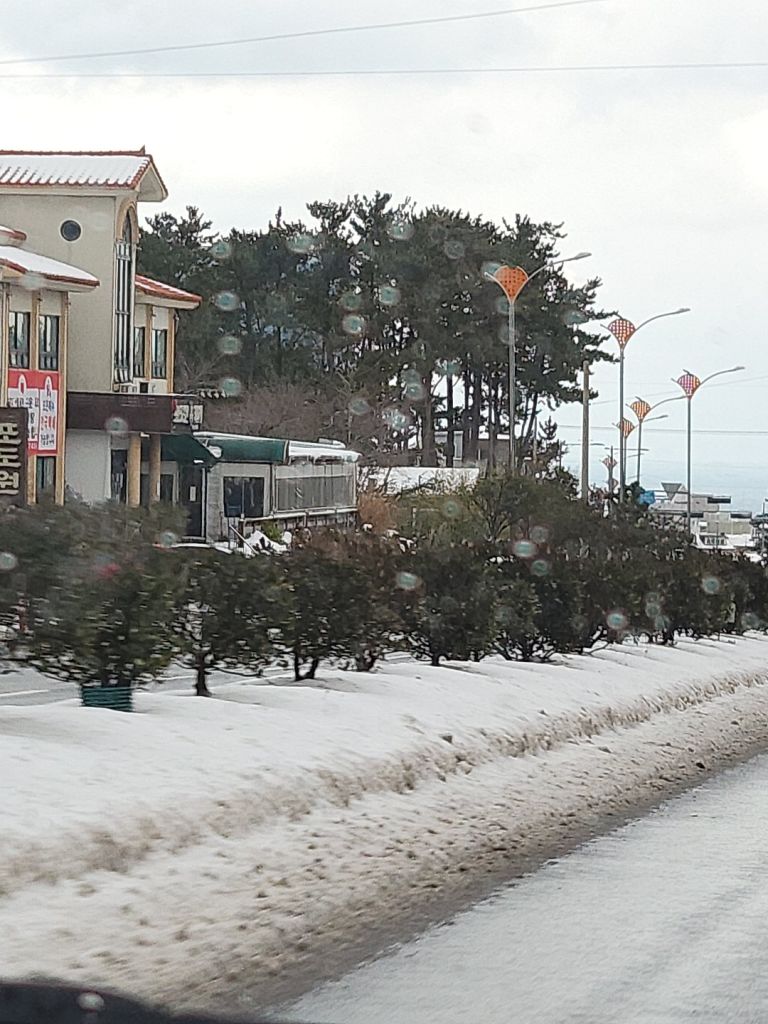 포도원 흑돼지
