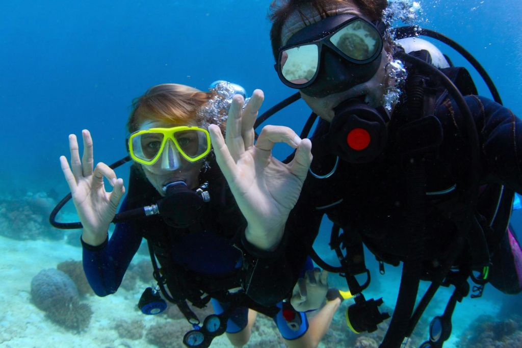 후르가다: 가이드와 함께하는 스쿠버다이빙 체험 + 왕복 교통편 + 점심 식사