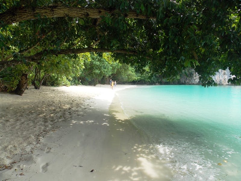 하얀 모래, 청록색 물, 돌출된 나뭇가지가 있는 그늘진 열대 해변. 두 사람이 해안선을 따라 걸어가고 있습니다.