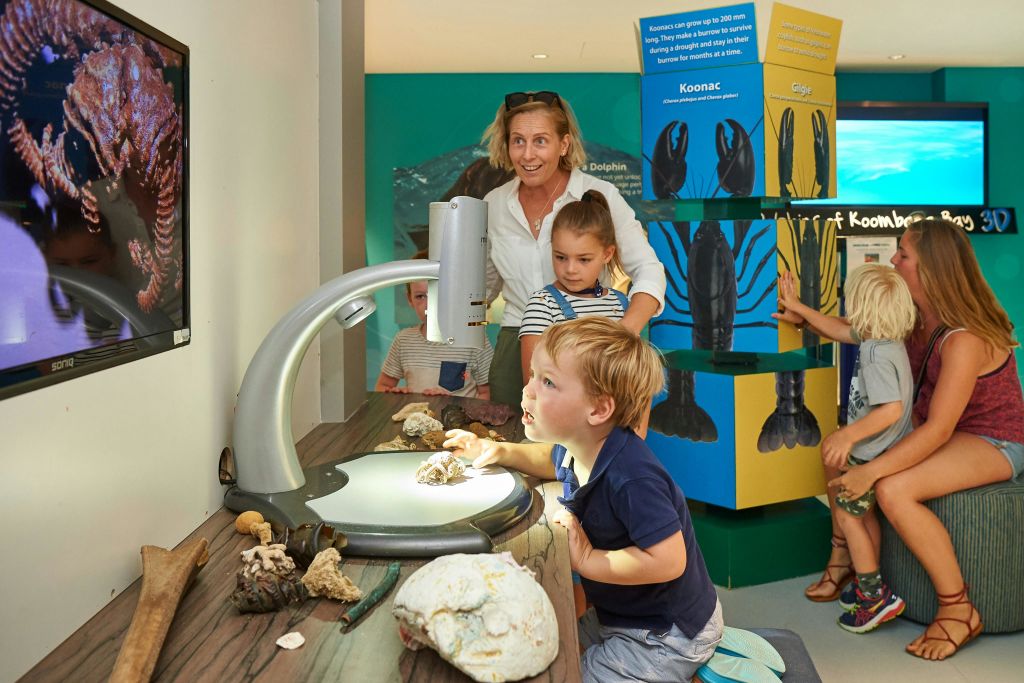 모든 연령대를 위한 대화형 학습 및 발견 스테이션