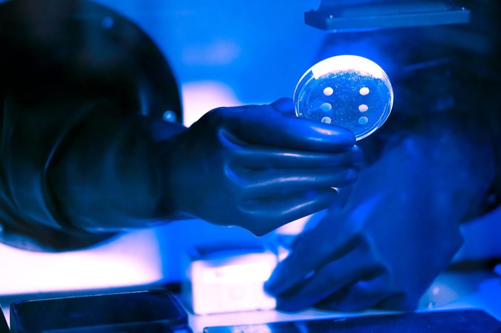 수수께끼의 해결책으로 모든 세부 사항이 중요 할 수 있습니다.