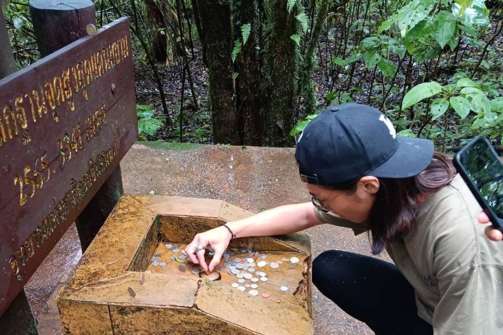 인타논의 최고 지점