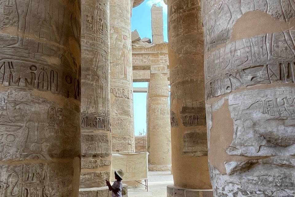 공급업체의 게스트