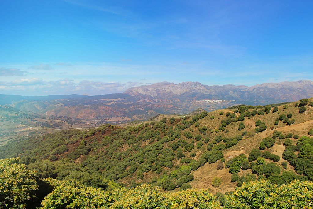 푸른 하늘 아래 먼 산과 푸른 초목으로 뒤덮인 구불구불한 언덕.