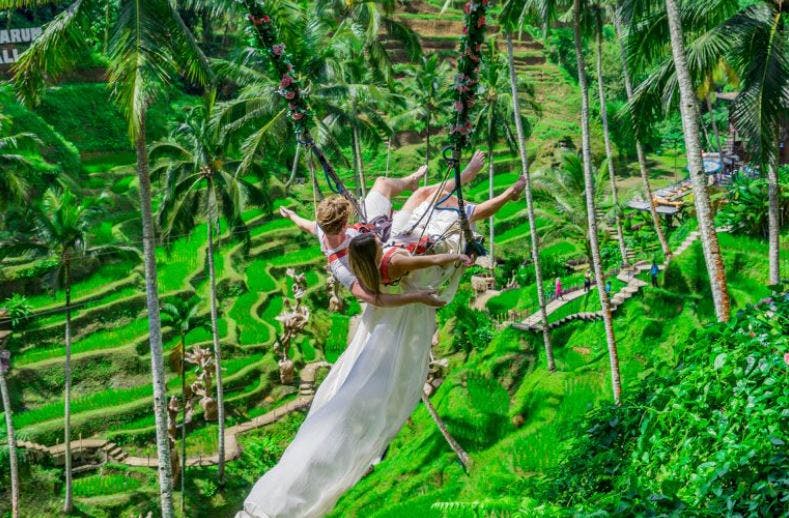 높은 야자수로 둘러싸인 활기찬 푸른 계단식 논 위에서 그네를 타는 커플. 여자는 긴 흰색 드레스를 입고 있습니다.