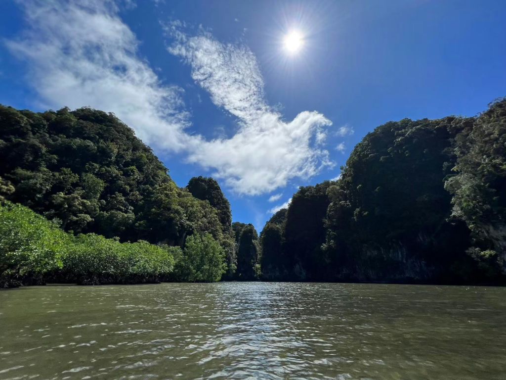 흩날리는 구름과 함께 밝은 하늘 아래 나무로 뒤덮인 언덕 옆에는 햇살 가득한 강이 흐르고 있었습니다.