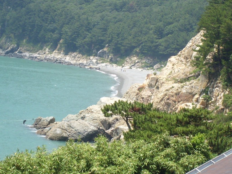 거제도 천년의미소펜션 이런 분들 추천해요 이미지