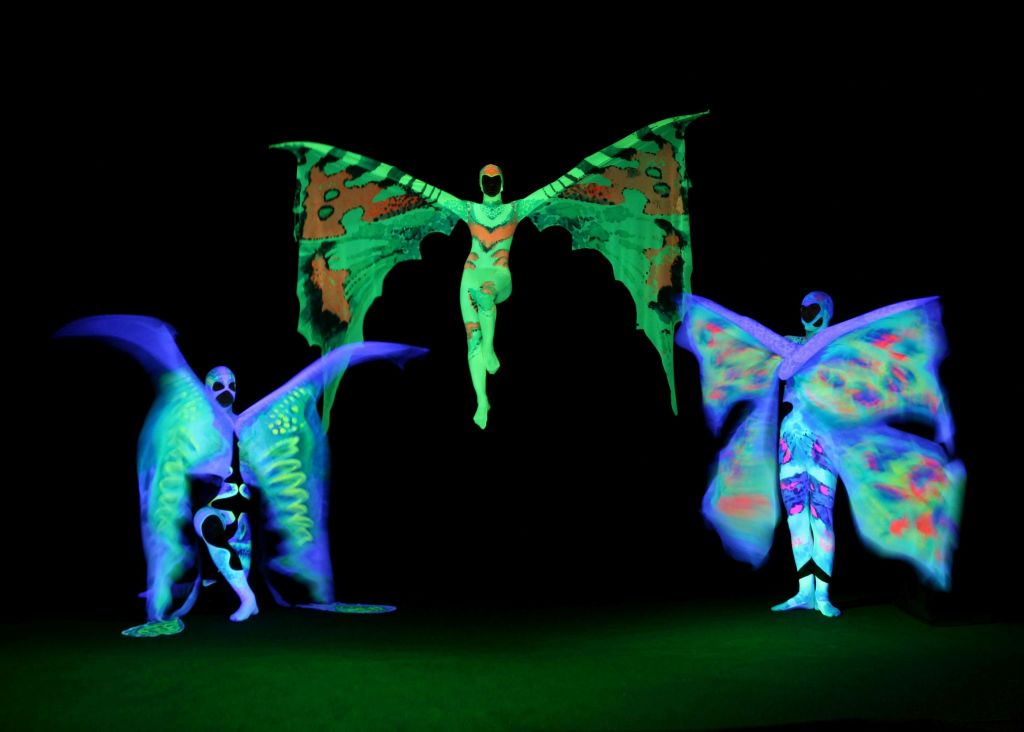 검은색 배경에 선명한 네온 컬러의 빛나는 나비 의상을 입은 세 명의 공연자가 공수합니다.