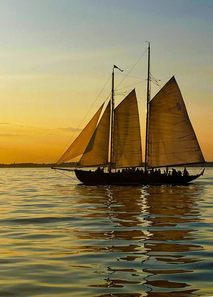 일몰에 잔잔한 물 위에서 여러 개의 돛이 미끄러지는 범선으로, 승객의 실루엣이 돋보입니다.