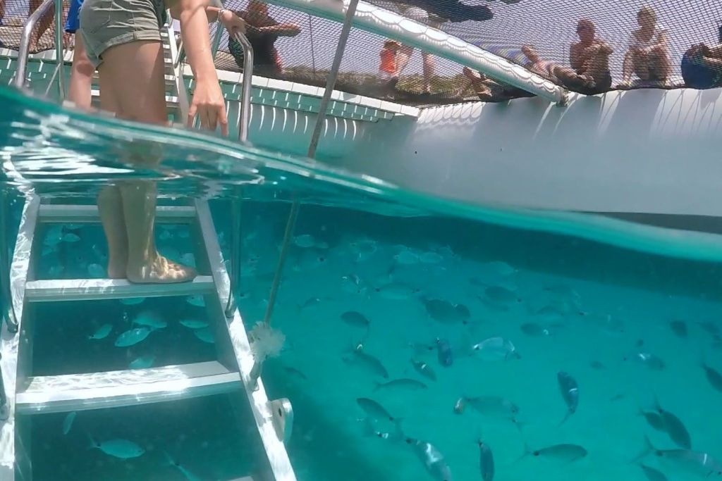 배 밑에서 물고기 잡기