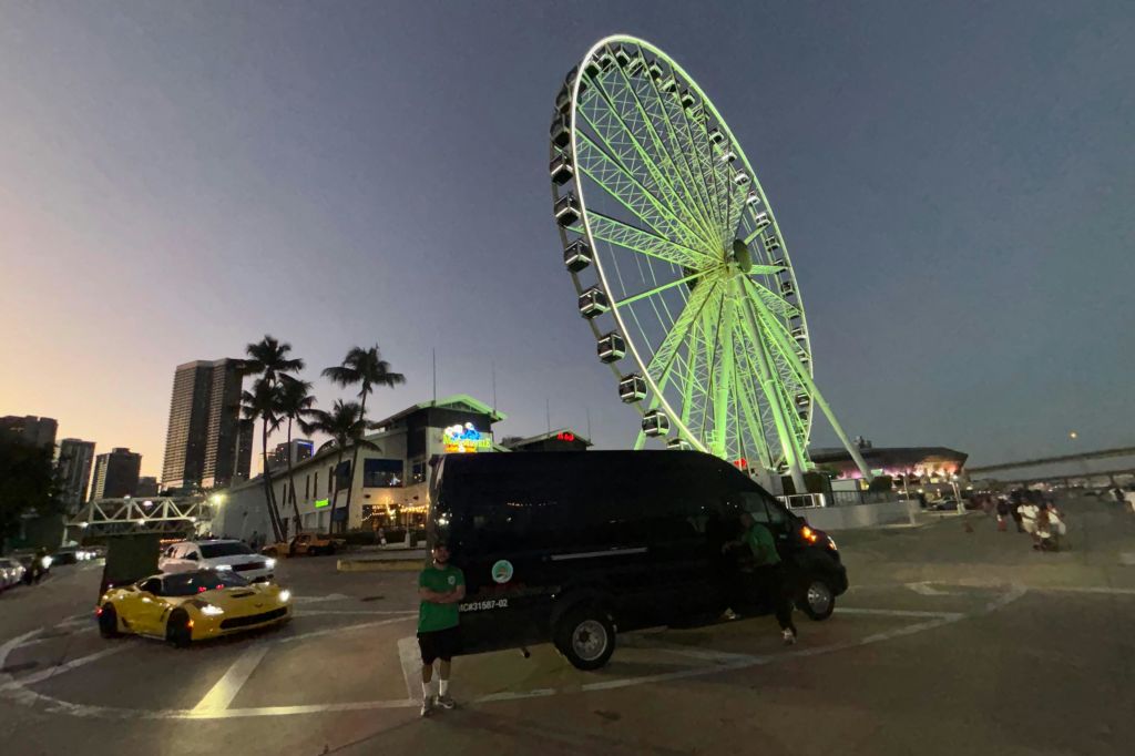 스카이라인은 베이사이드 마켓플레이스의 관람차로 가득합니다.