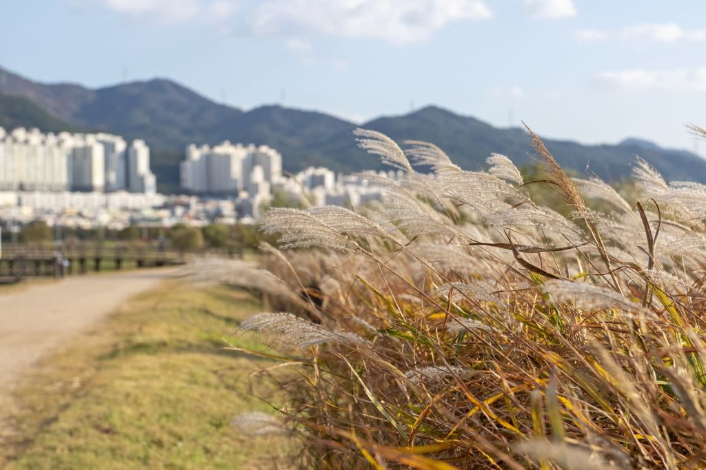 대저 생태 공원