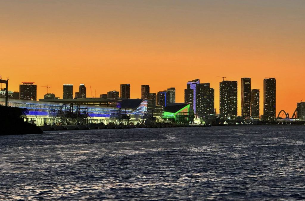 물 건너편에서 바라보는 녹색 조명 구조를 포함한 조명이 켜진 건물이 있는 석양의 도시 스카이라인.