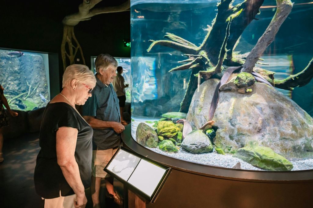 케언즈 아쿠아리움