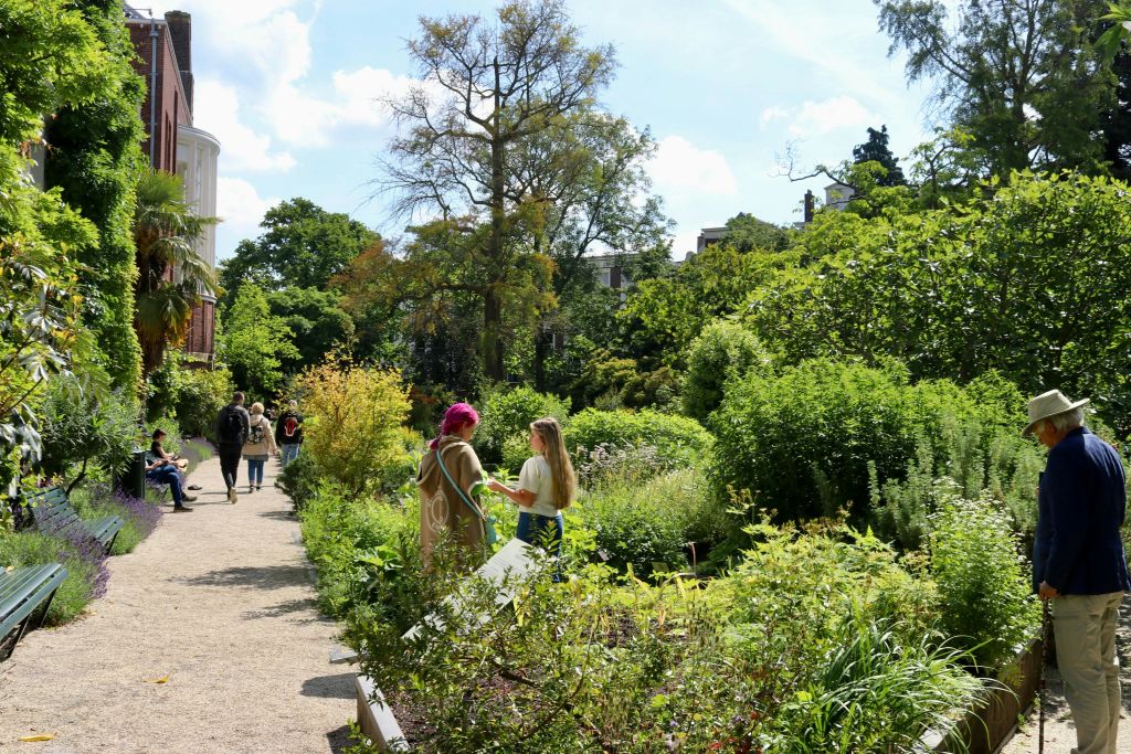 화창한 하늘 아래 녹지와 나무로 둘러싸인 자갈 통로가 있는 울창한 정원에서 두 사람이 서서 이야기를 나누고 있습니다.