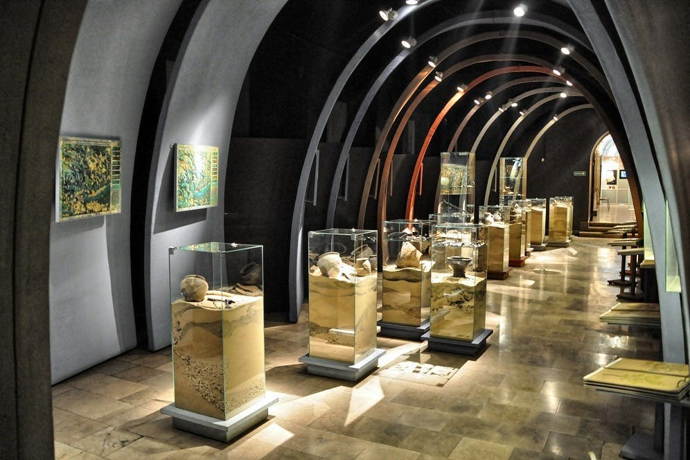 고고학 박물관 - 노와후타브라니체